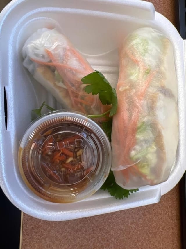 A2. Vegetarian Spring Rolls (2 Pcs).